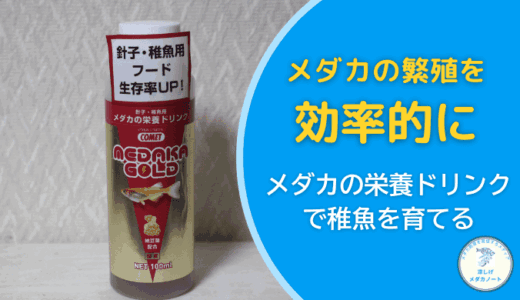 メダカ稚魚の成長を加速！おすすめ液体エサ「栄養ドリンク100ml」徹底解説