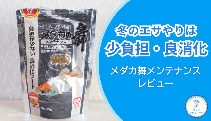 メダカの舞メンテナンス