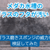 水槽フタの汚れを一発解決!ガラス磨きスポンジの実力を紹介