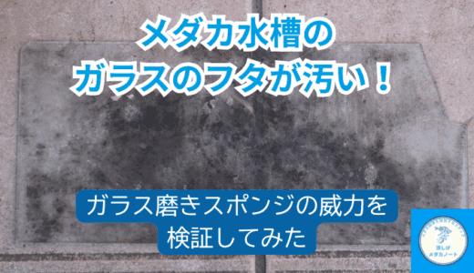水槽フタの汚れを一発解決！ガラス磨きスポンジの実力を紹介