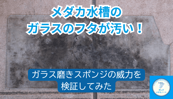 水槽フタの汚れを一発解決！ガラス磨きスポンジの実力を紹介