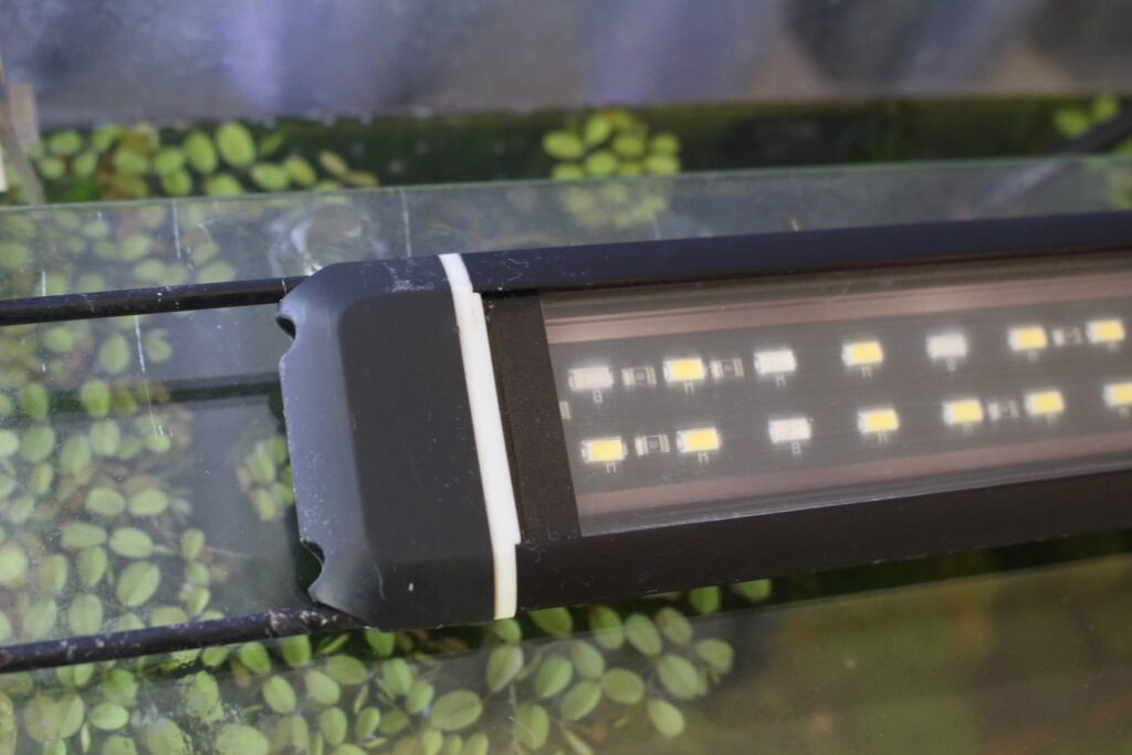 きれいになった照明