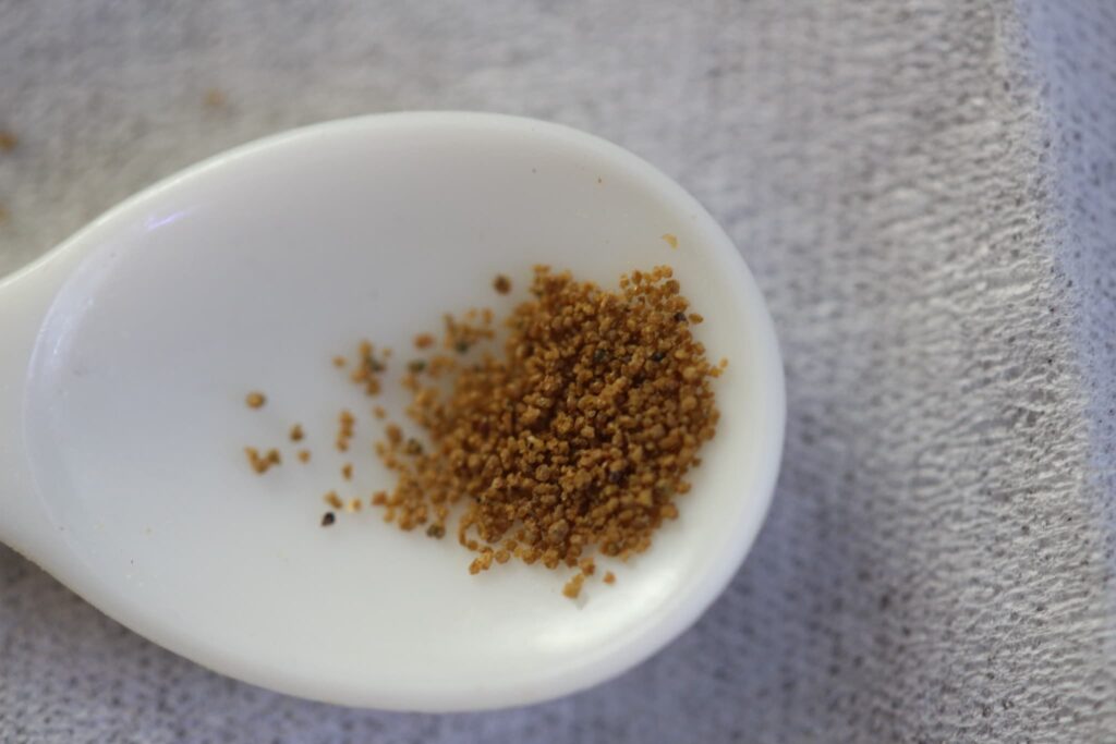 メダカの舞メンテナンス