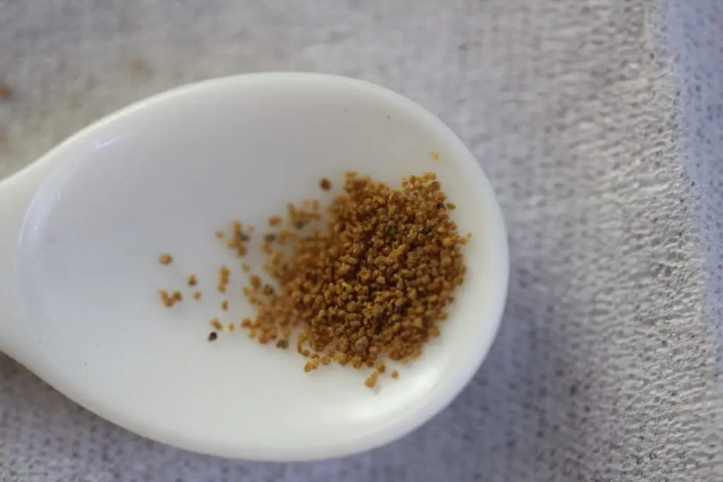 メダカの舞メンテナンス