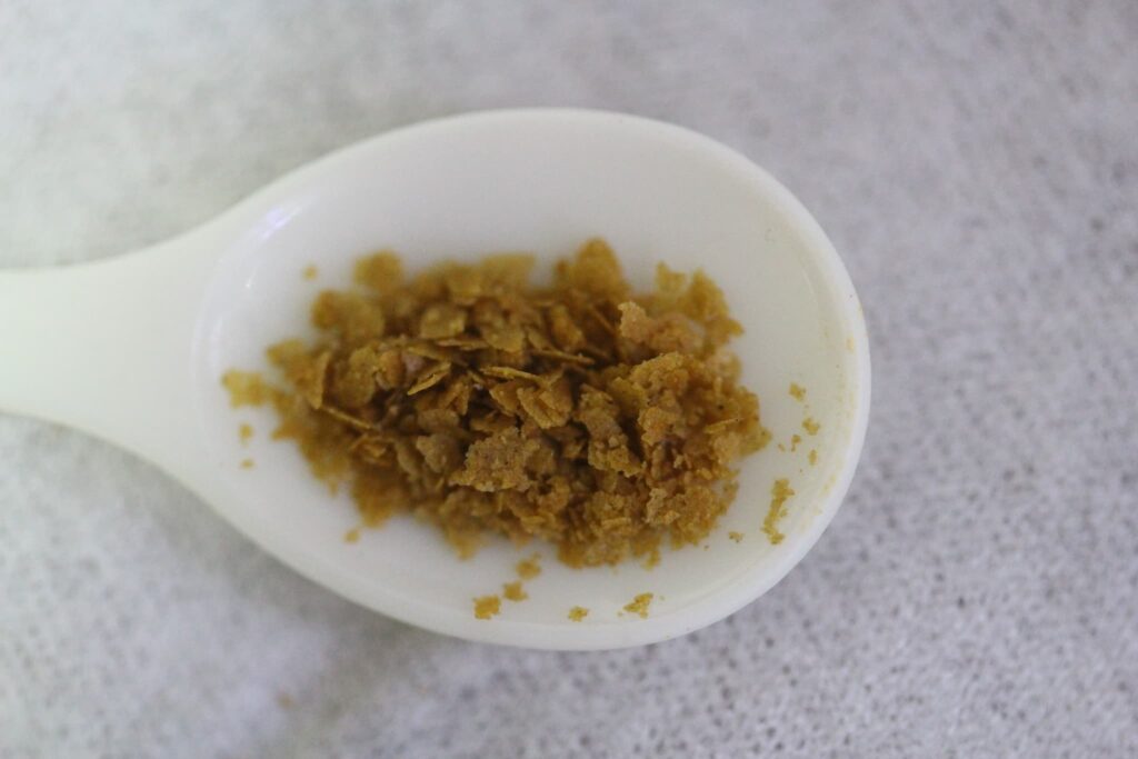 Tetra テトラ キリミン 繁殖＋食いつき