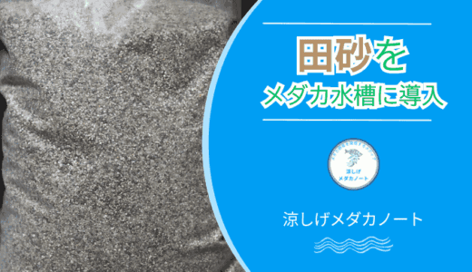 自然派に人気！メダカ飼育で田砂を使うメリットと注意点を徹底解説