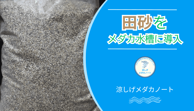 田砂をメダカ水槽に導入