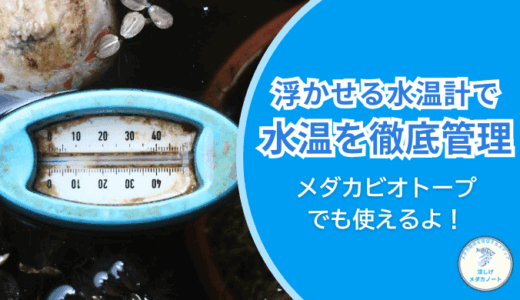 メダカビオトープにオススメ！SUDO浮かべる水温計S-1877で水温を徹底管理