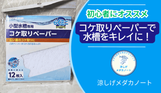 メダカ水槽のコケ問題を解決！コケ取りペーパー徹底レビュー