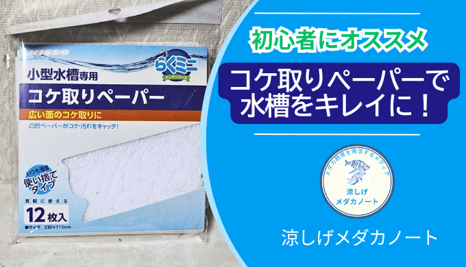 メダカ水槽のコケ問題を解決！コケ取りペーパー徹底レビュー