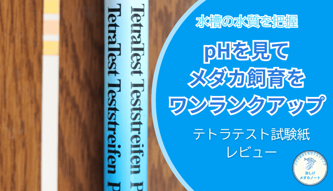 メダカが元気に育つ！水槽のpH管理方法とテトラテスト試験紙レビュー