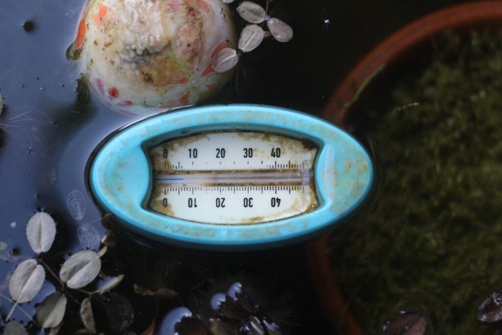 SUDO(スドー) スターペット 浮かべる水温計 S-1877