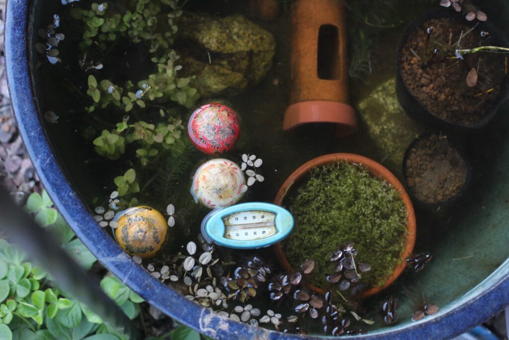 SUDO(スドー) スターペット 浮かべる水温計 S-1877