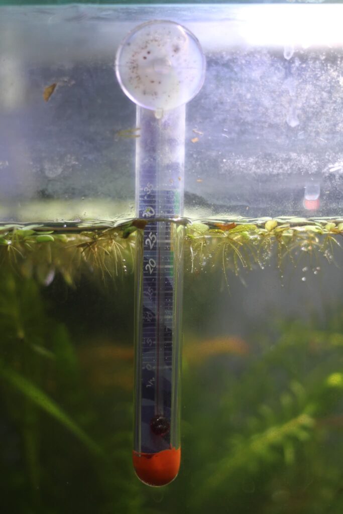 エヴァリス きっちり計れる水温計