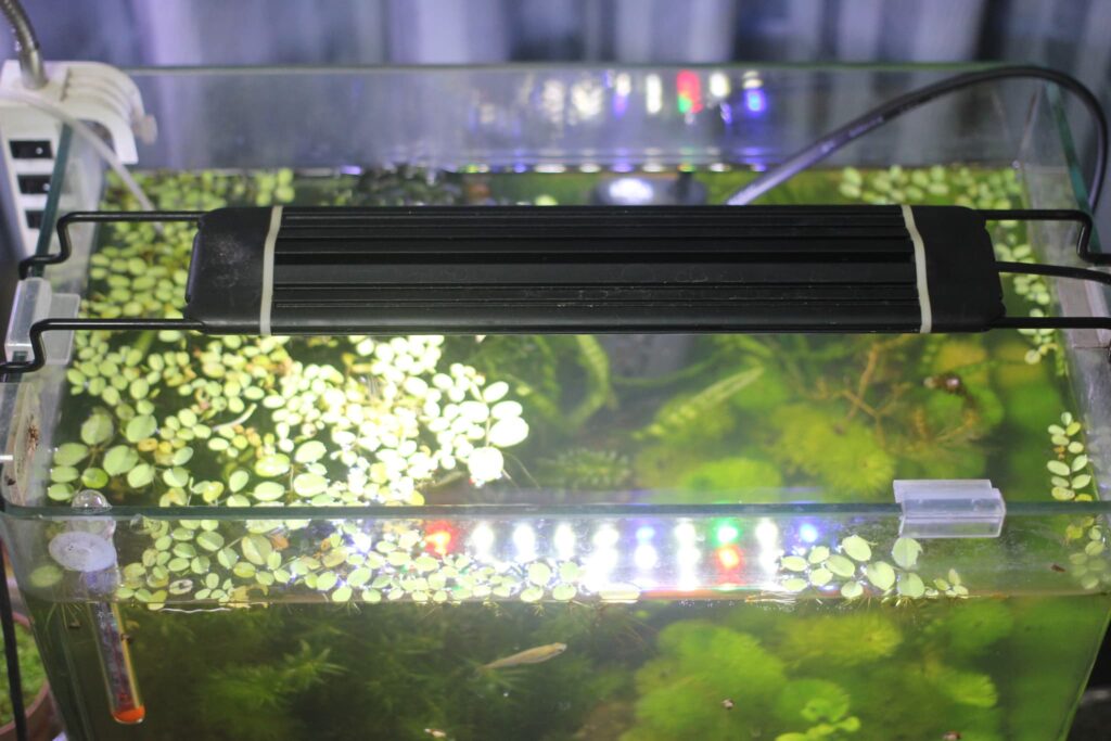 Lmpyfアクアリウムライト