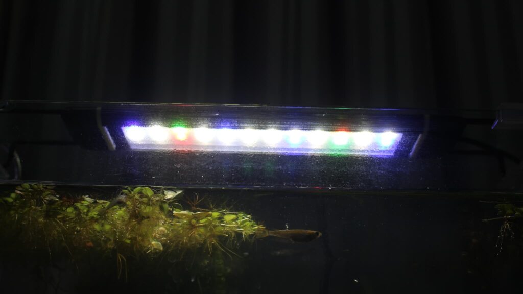 Lmpyfアクアリウムライト
