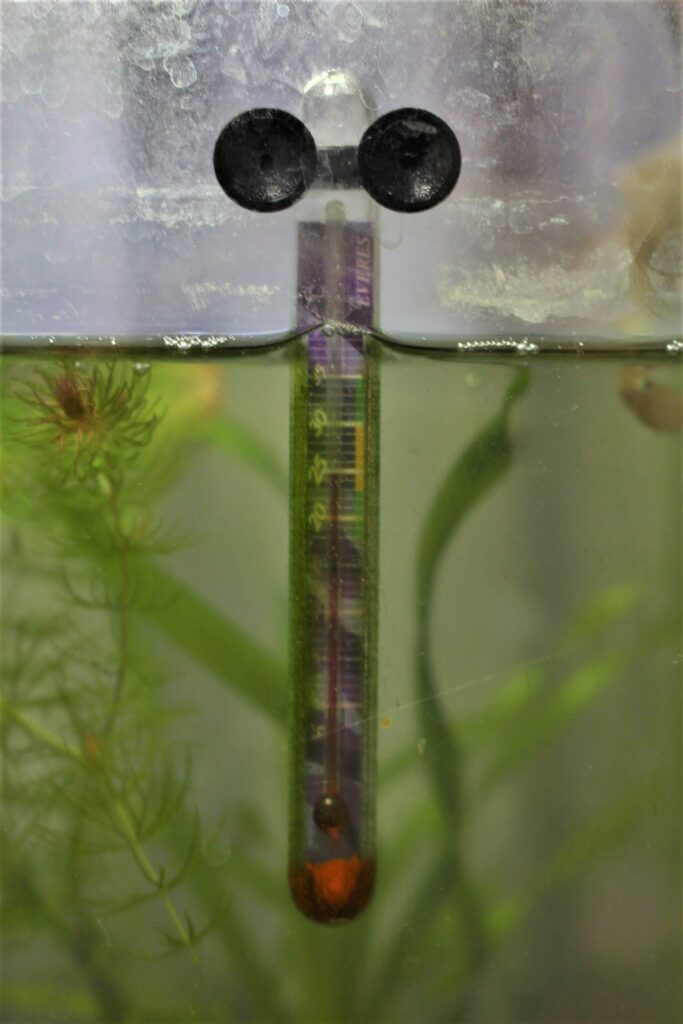 エヴァリスきっちり計れる水温計