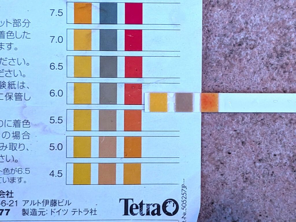 テトラ テスト試験紙ペーハー