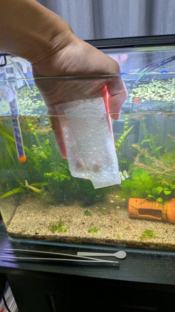 コケ取りペーパーの使用時の様子