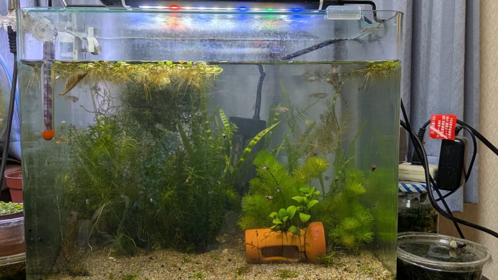 Lmpyfアクアリウムライト