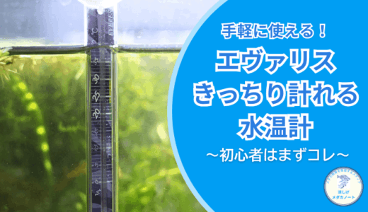 メダカの水温管理に必須？エヴァリスきっちり計れる水温計の使用感を徹底検証