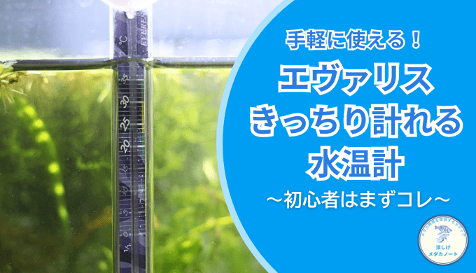 メダカの水温管理に必須？エヴァリスきっちり計れる水温計の使用感を徹底検証