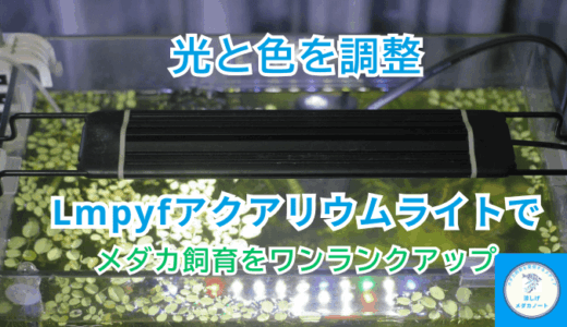 【光量・色変更可】Lmpyfアクアリウムライトでメダカ水槽をワンランクアップ