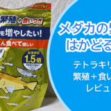 メダカ繁殖期に最適なエサは？「テトラキリミン繁殖＋食いつき」を徹底レビュー