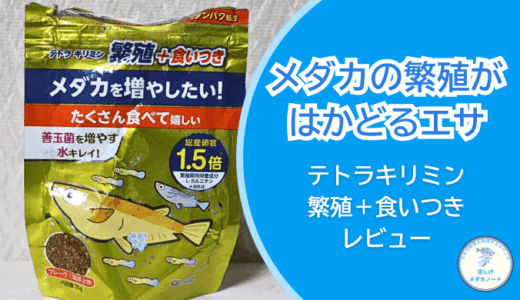 メダカの産卵を増やすエサ｜「テトラキリミン繁殖＋食いつき」を徹底レビュー