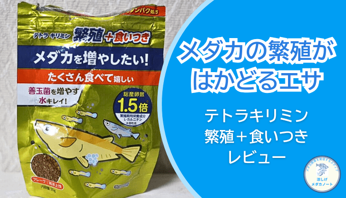 メダカ繁殖期に最適なエサは？「テトラキリミン繁殖＋食いつき」を徹底レビュー