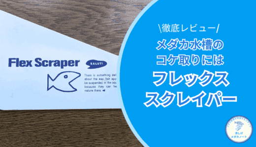 初心者でも安心！メダカ水槽のコケ取りにフレックススクレイパーを選ぶ理由