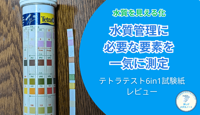 メダカの水質管理は「見える化」が鍵｜テトラテスト6in1試験紙の口コミと実力を徹底検証