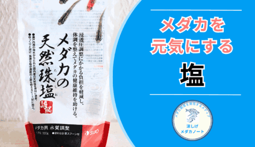体調管理に効く！メダカの塩浴には天然珠塩