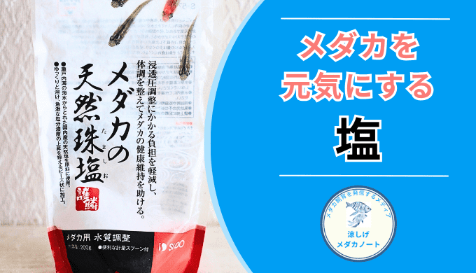 体調管理に効く！メダカの天然珠塩の効果と使い方