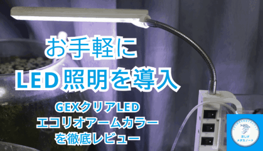 初心者でも失敗しない！GEXクリアLEDエコリオアームカラーの特徴と注意点