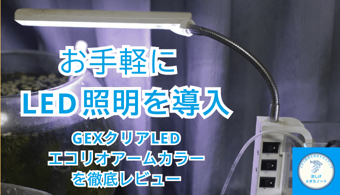 初心者でも失敗しない！GEXクリアLEDエコリオアームカラーの特徴と注意点