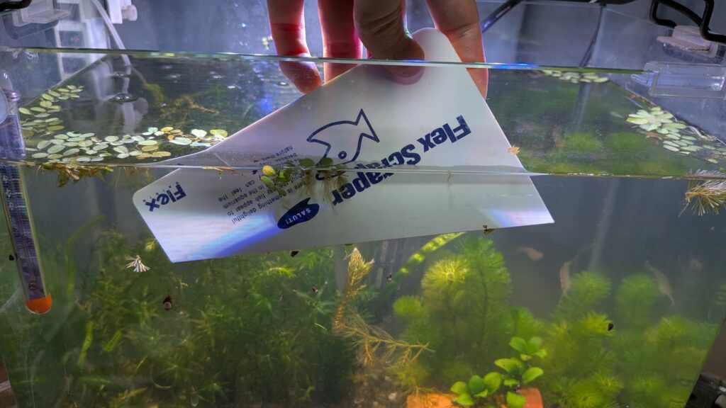 フレックススクレイパー