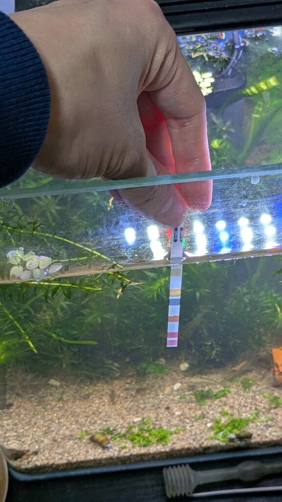 テトラテスト 6in1 試験紙使用中