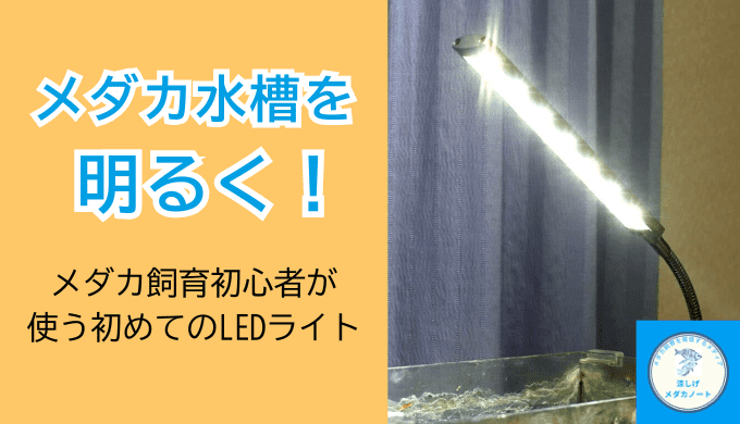 はじめてのメダカ照明に最適！水作スマートLEDライトA220のメリット・デメリット