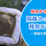 100均でも使える!?浮く隔離ネットレビュー｜生存率アップの効果を徹底検証