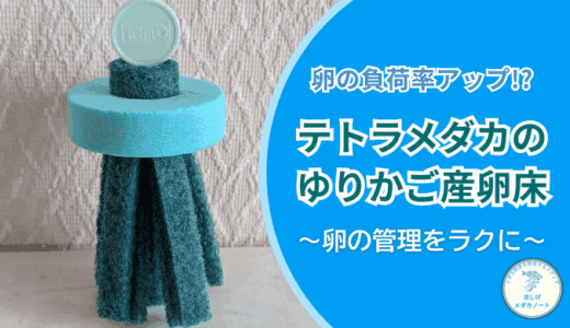 メダカの卵管理が劇的に楽に？テトラメダカのゆりかご産卵床を徹底検証