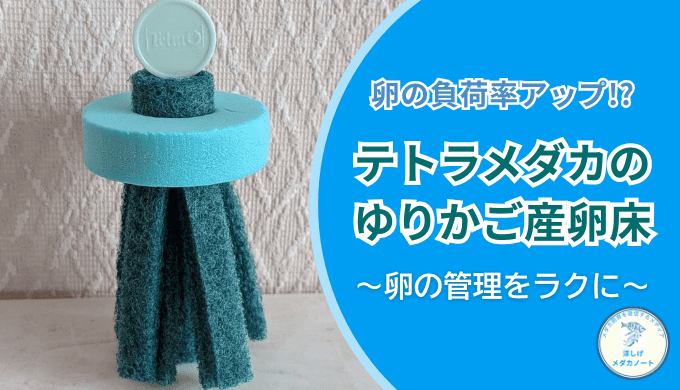 メダカの卵管理が劇的に楽に？テトラメダカのゆりかご産卵床を徹底検証