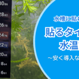 貼るタイプの水温計は本当に使える？メダカ水槽で試してみた感想