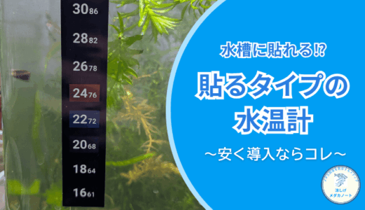 貼るタイプの水温計は本当に使える？メダカ水槽で試してみた感想