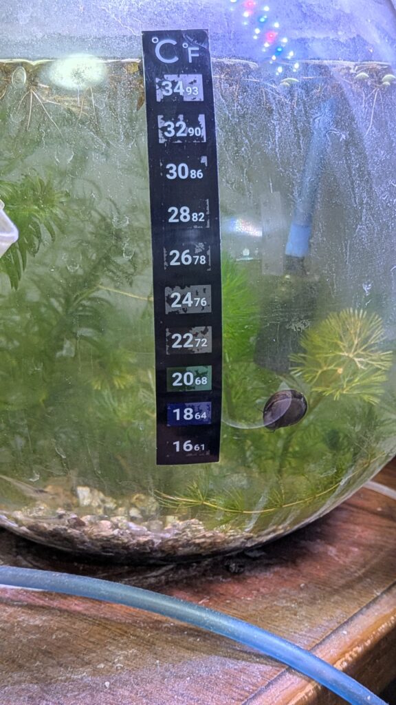 貼れるタイプの水温計