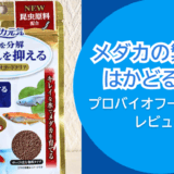 メダカの繁殖用のエサにオススメ？メダカ元気プロバイオフードクリアの使用感と効果を徹底検証