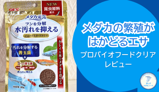 メダカの繁殖用のエサにオススメ？メダカ元気プロバイオフードクリアの使用感と効果を徹底検証