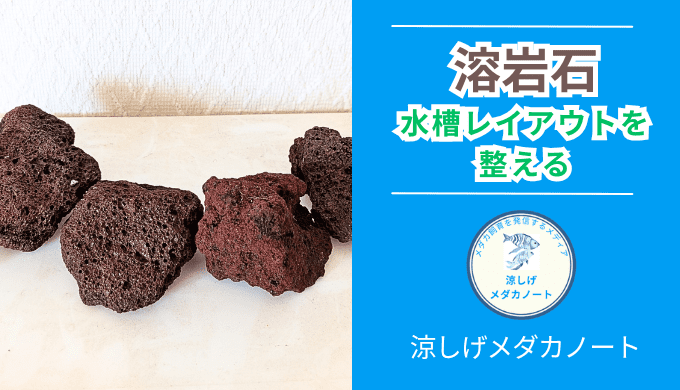 溶岩石とは？メダカ水槽との相性を解説