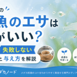 メダカの稚魚のエサは何がいい？初心者でも失敗しない選び方と与え方を解説