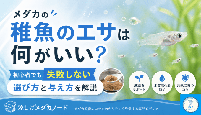 メダカの稚魚のエサは何がいい？初心者でも失敗しない選び方と与え方を解説